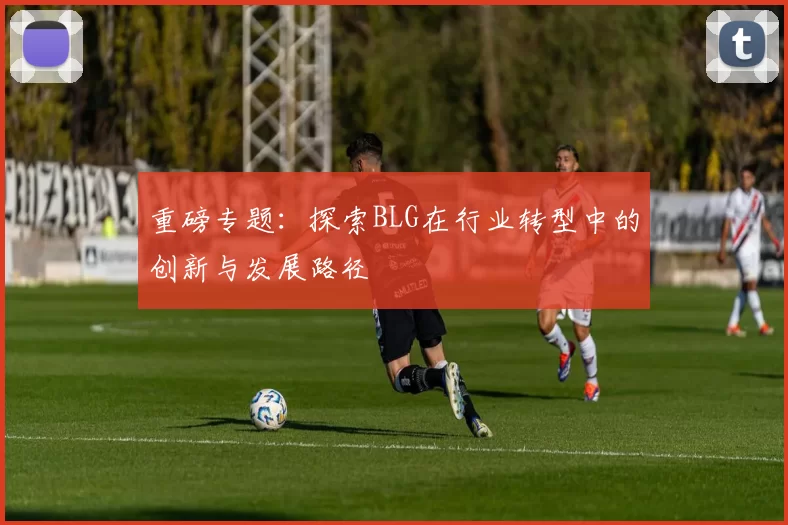 重磅专题：探索BLG在行业转型中的创新与发展路径