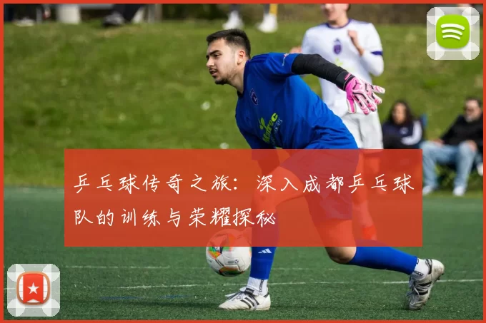 乒乓球传奇之旅：深入成都乒乓球队的训练与荣耀探秘
