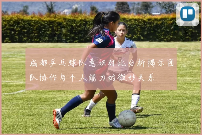 成都乒乓球队意识对比分析揭示团队协作与个人能力的微妙关系