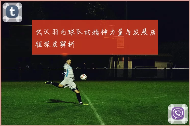 武汉羽毛球队的精神力量与发展历程深度解析