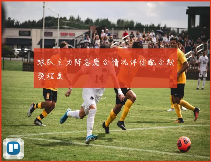 球队主力阵容磨合情况评估配合默契程度