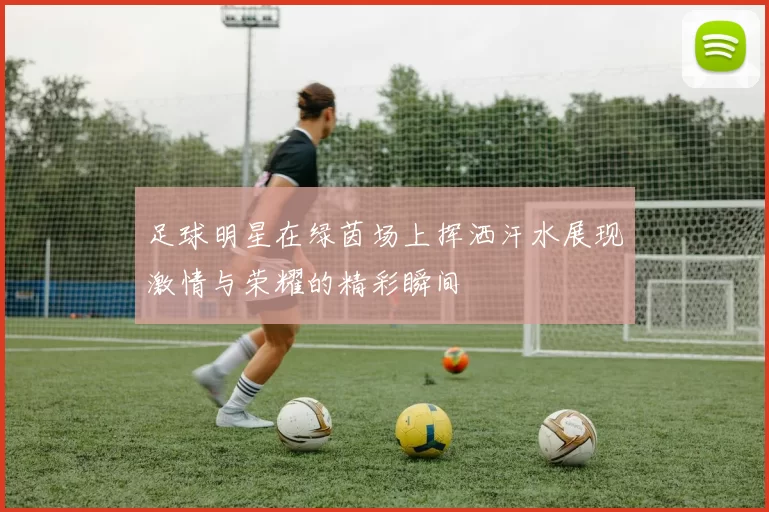 足球明星在绿茵场上挥洒汗水展现激情与荣耀的精彩瞬间