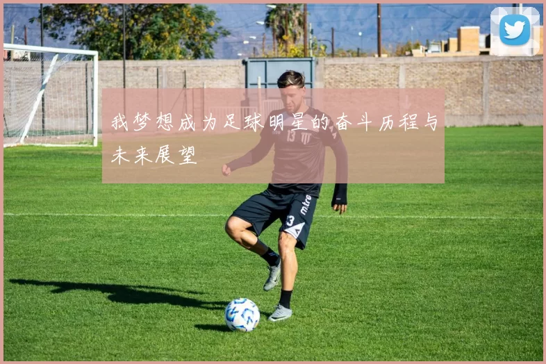 我梦想成为足球明星的奋斗历程与未来展望