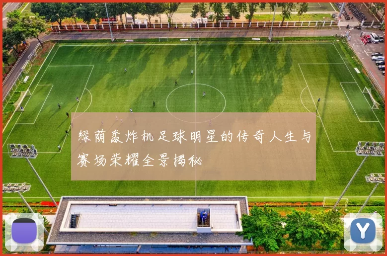 绿荫轰炸机足球明星的传奇人生与赛场荣耀全景揭秘